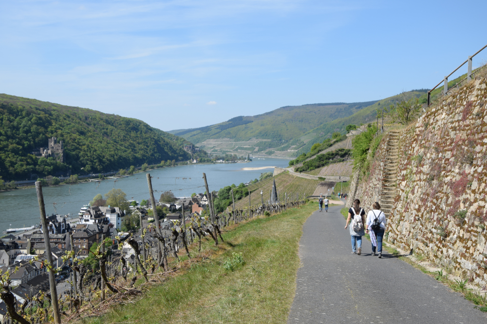wandern in assmannshausen