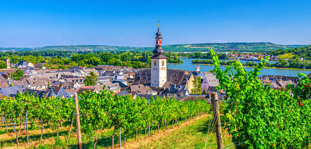 rheingau