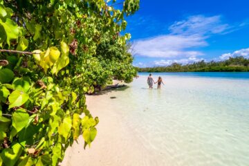 inselparadies mauritius