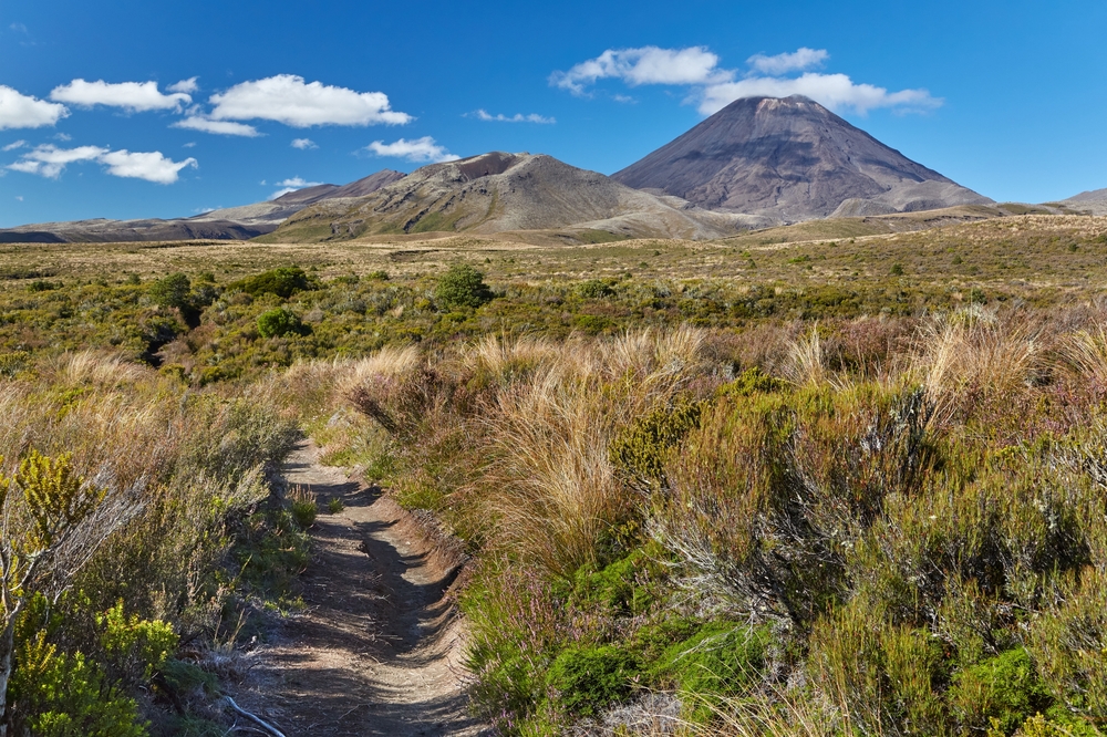 Tongariro National Park