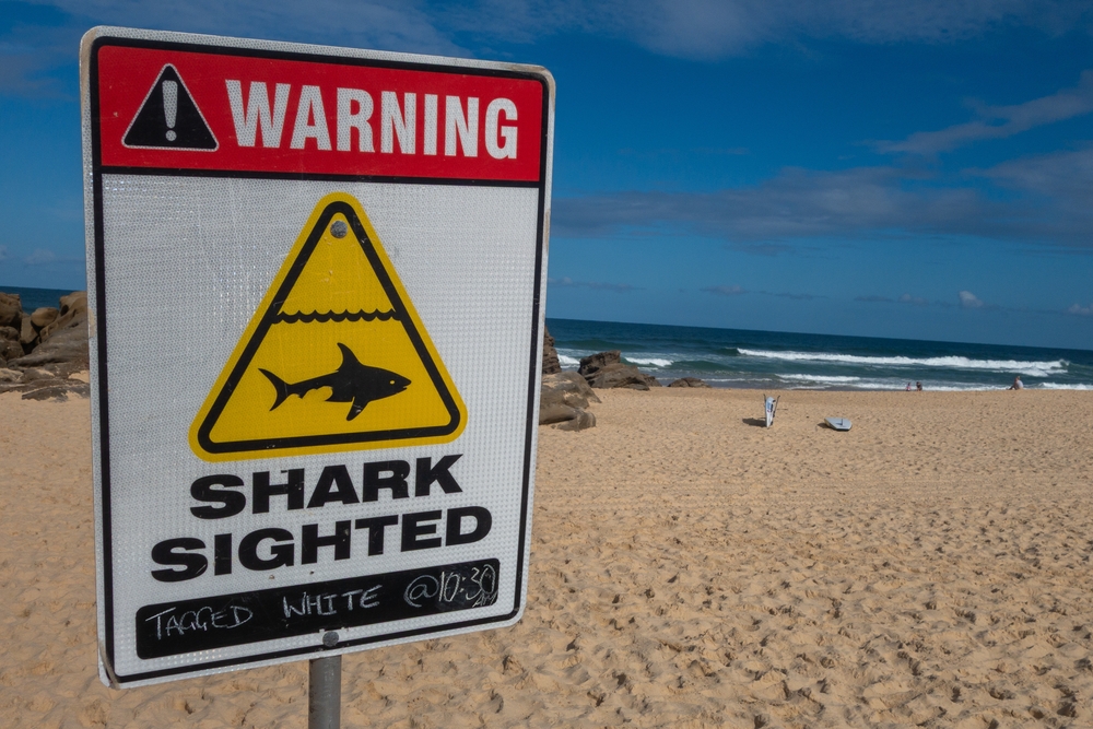 Haie Strand