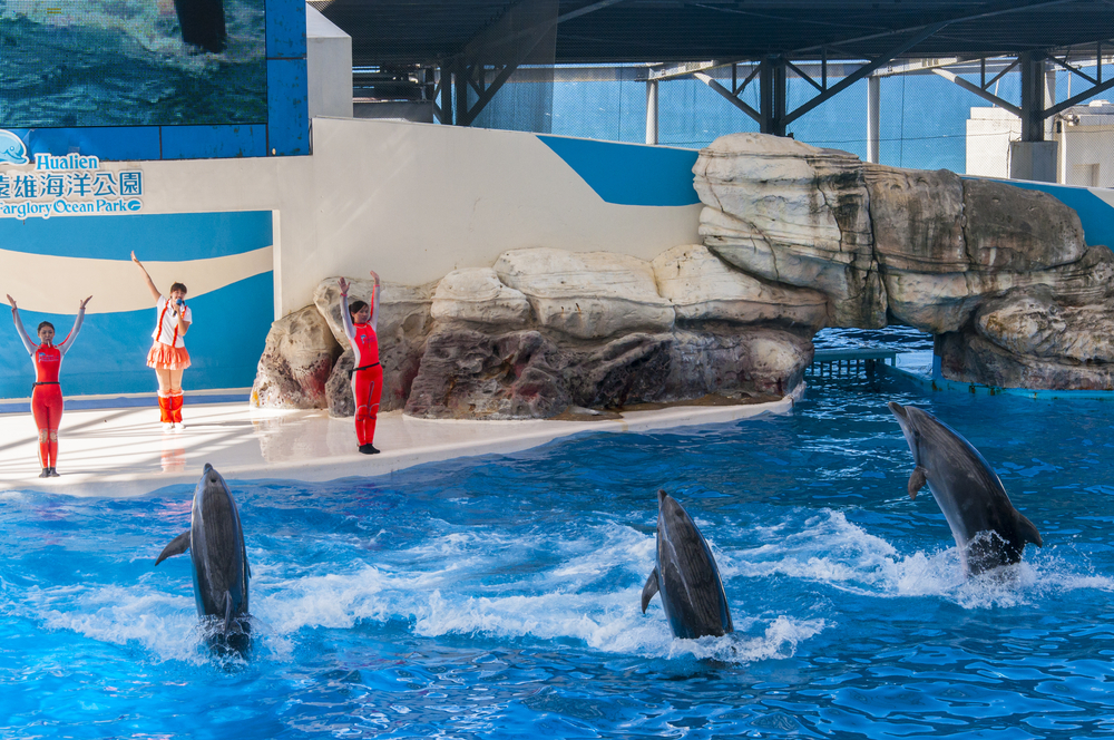 Farglory Ocean Park in Hualien